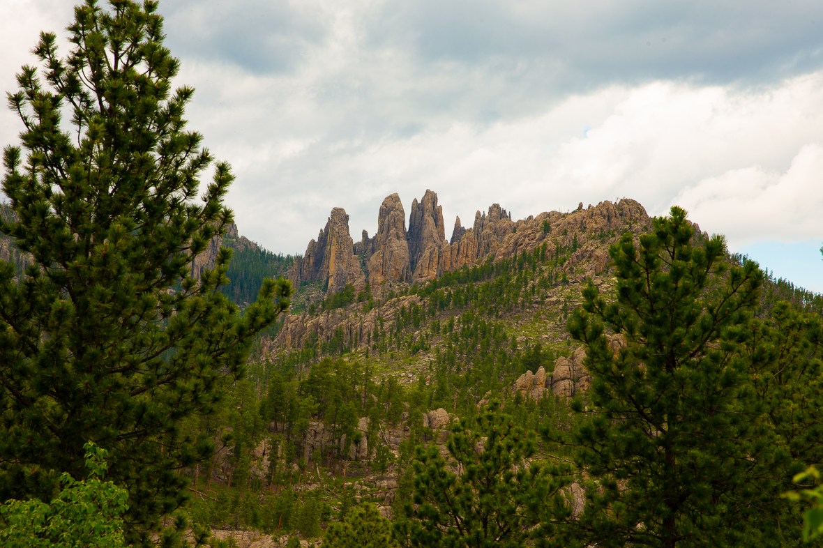 Custer State Park-4
