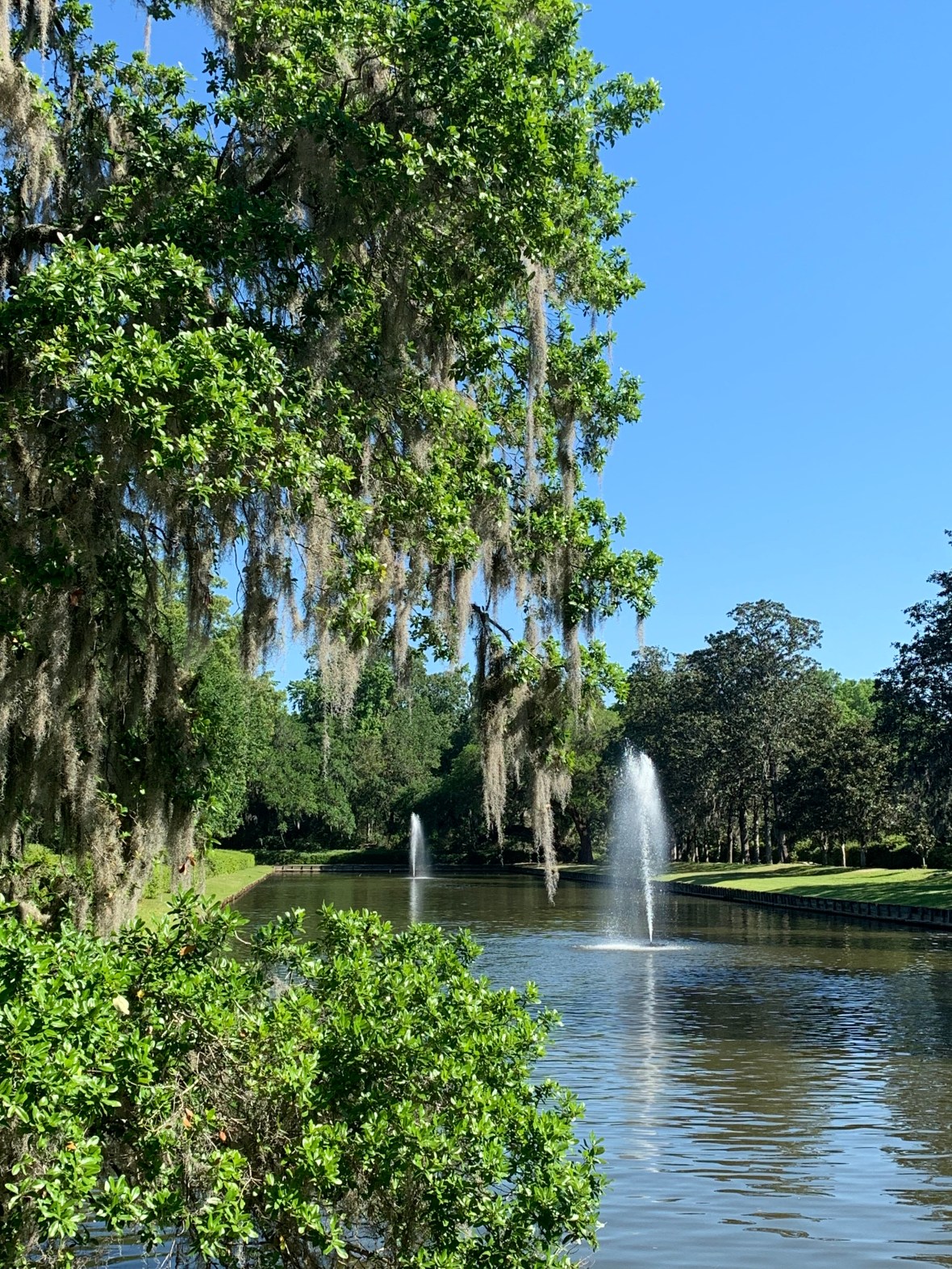 336A3511-6B98-4E50-9C3C-62984B5B4AF9