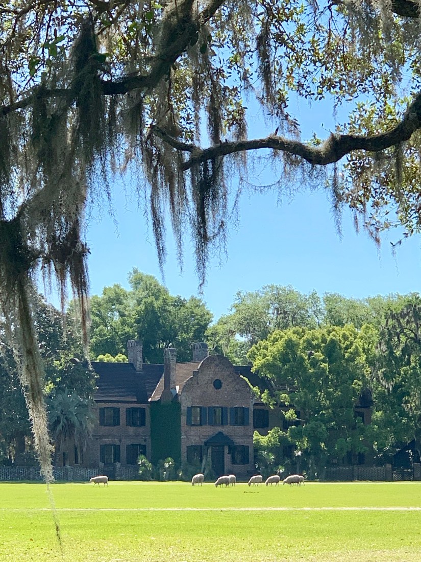 BB720F71-4B76-4632-A551-519656805510