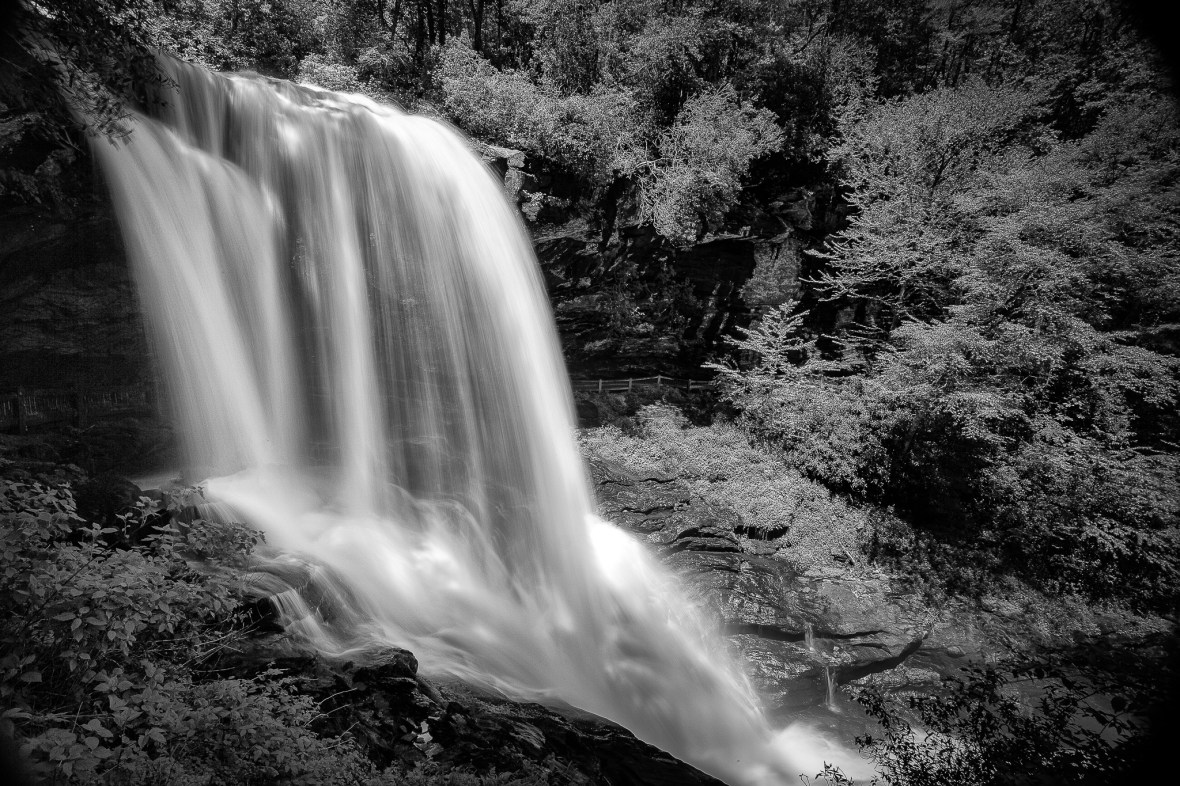 0A1D7B43-8667-4574-B0B3-0046F4EC6246