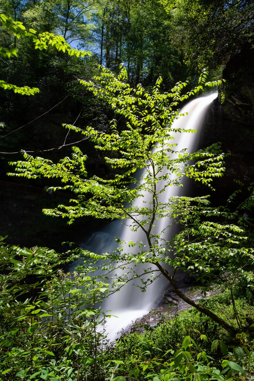 7689C92E-2E65-4342-BD72-EC03A7EAB08C