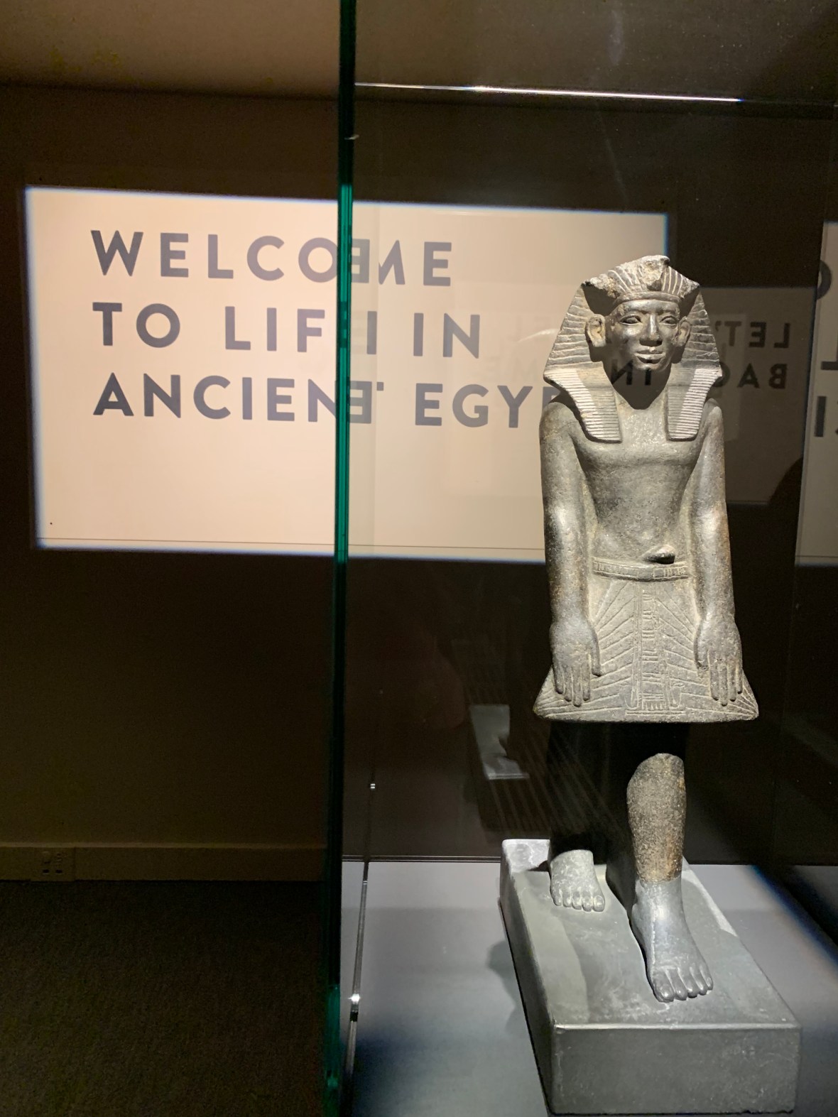 E5257FF0-AF6D-40FE-8524-F8A8144A2C6D