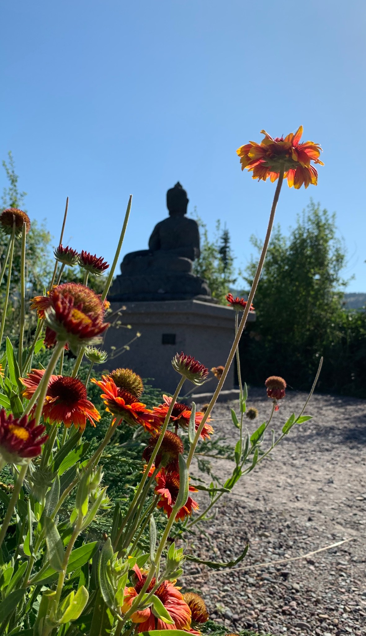 17F91B3D-C0C7-41B7-B0F3-A14CEF4E8AC0