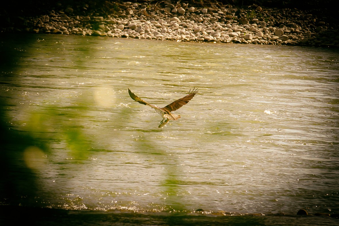 1AB29190-F008-431E-AB4A-61C0C3252FB4