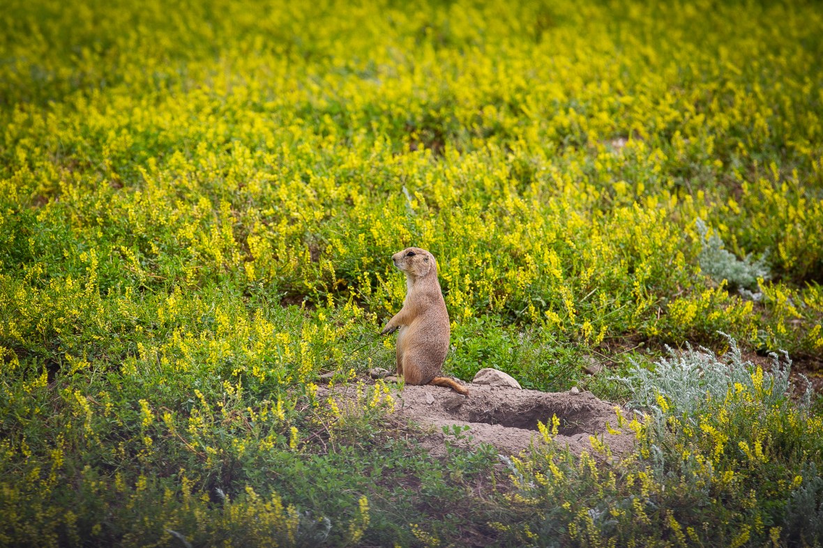 4AD2EC2B-61FC-4EB1-B70D-F7FDD43908E5