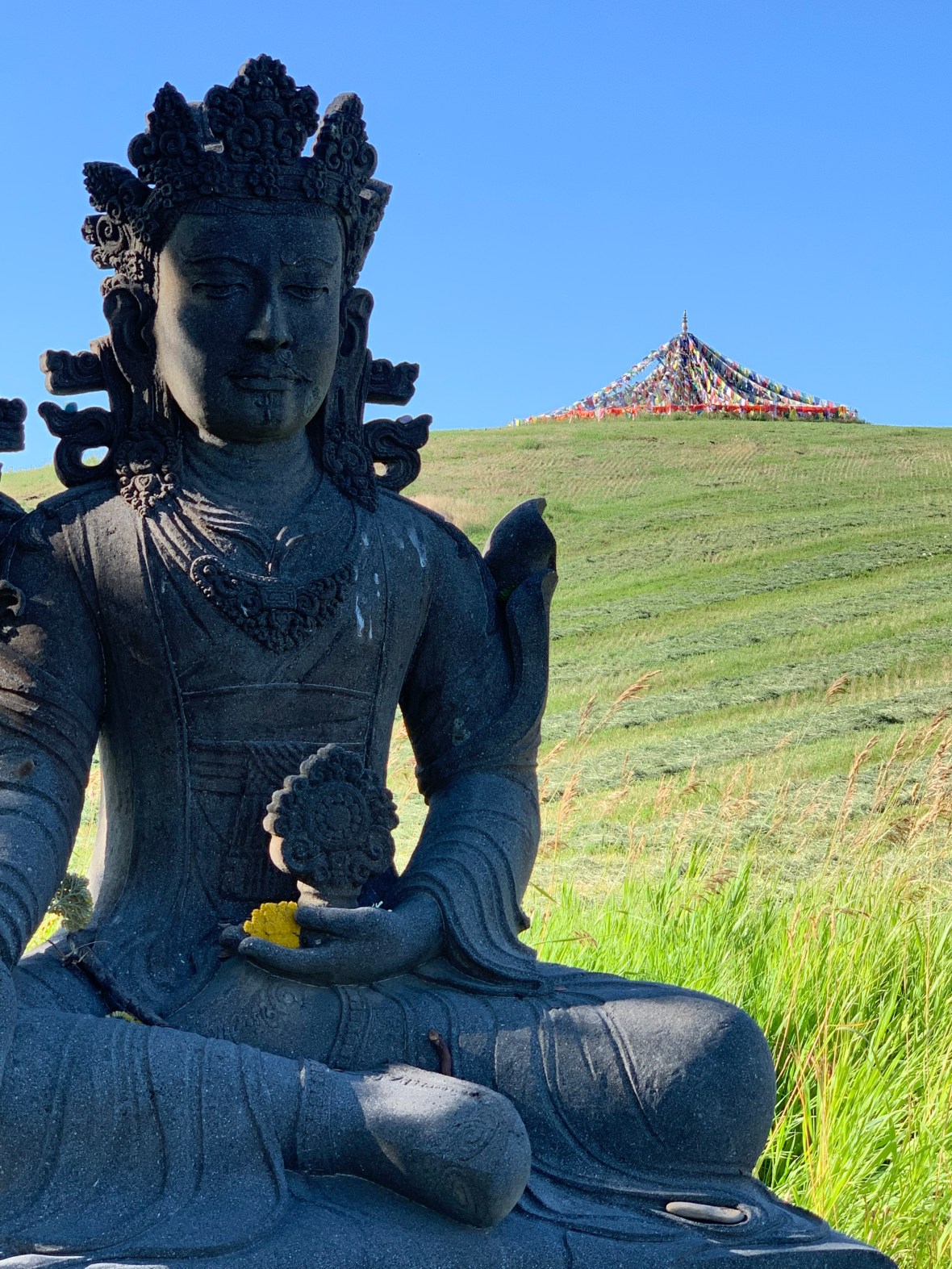 5DAC8DAC-C20F-4F2F-B846-5CD7B6523208