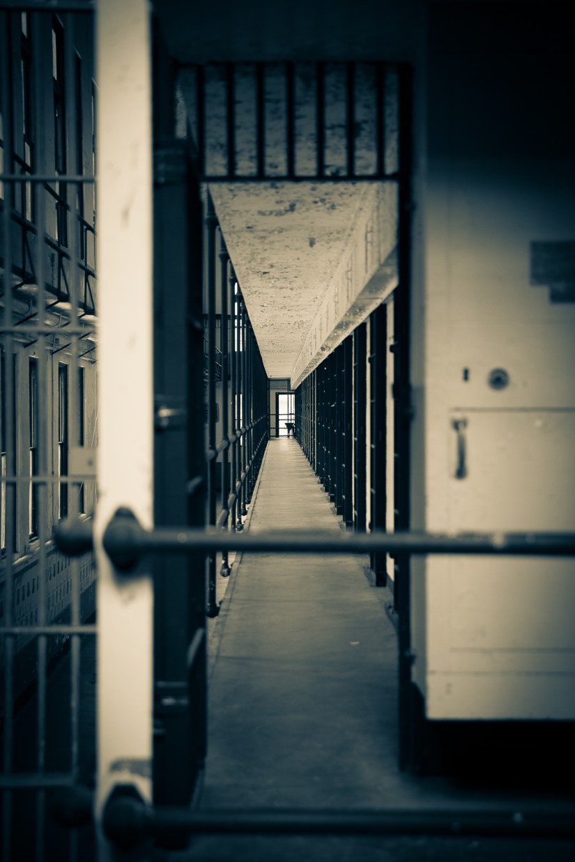 8306BFC3-0542-490E-A66B-28829045A17F