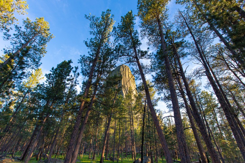 83747145-6F03-4C86-91EE-89A1D1C61542