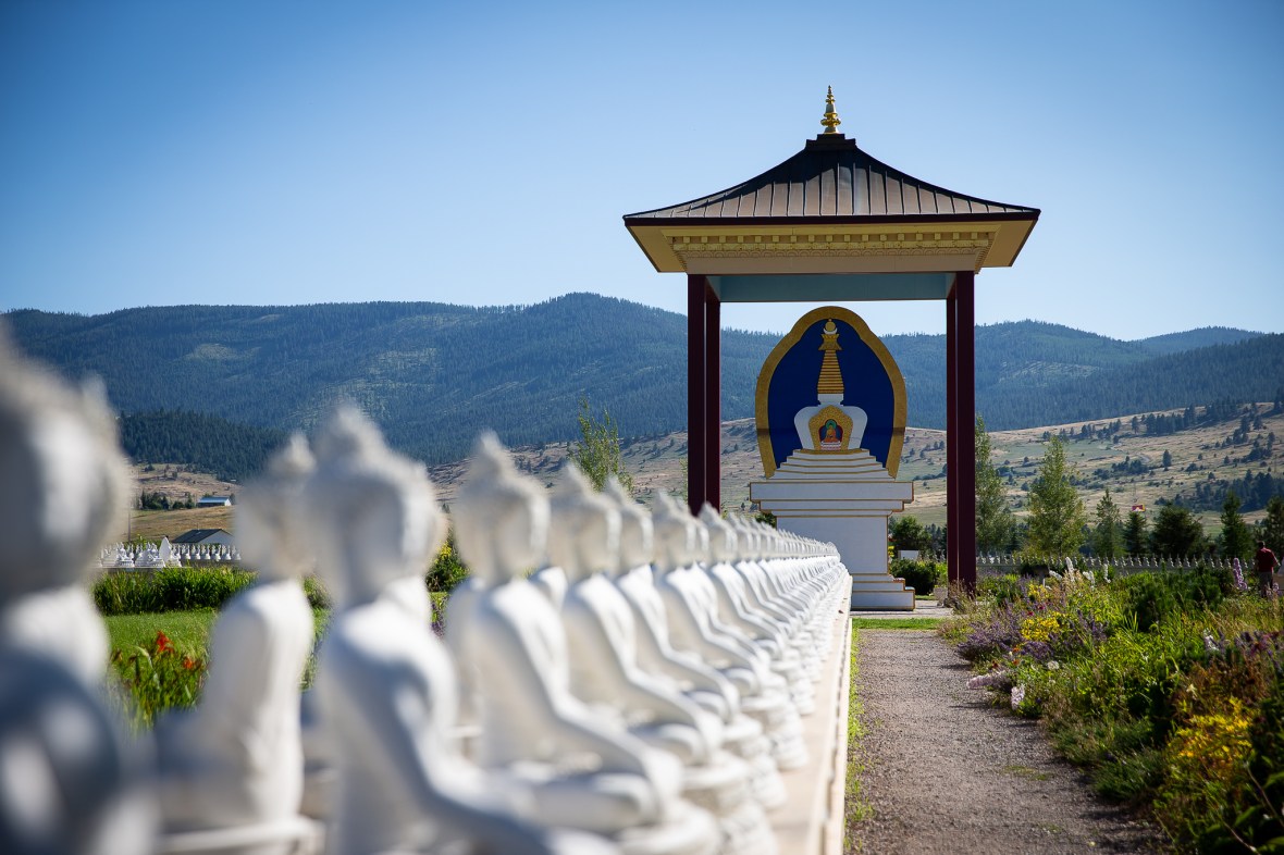 972EA72A-B42A-420E-81EC-C523DED3D46B