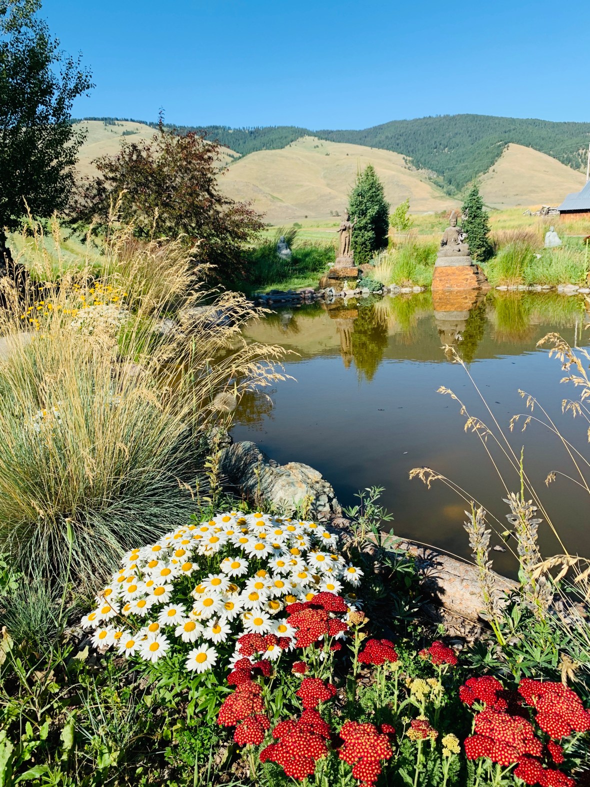 CDFA676B-2C38-4A57-8369-E24EFC0EBBD6