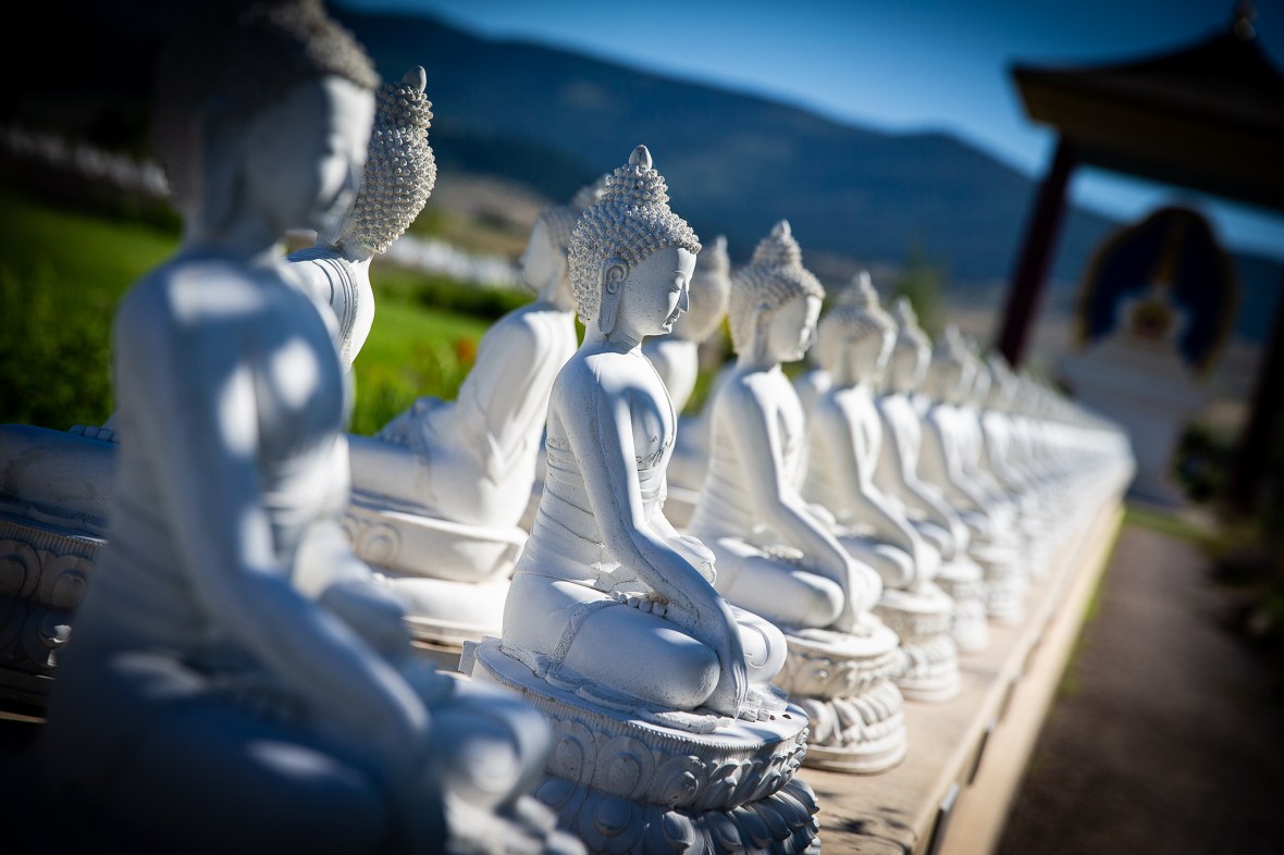 D9B78BCF-BDA9-4885-A109-C96D2C268CD1