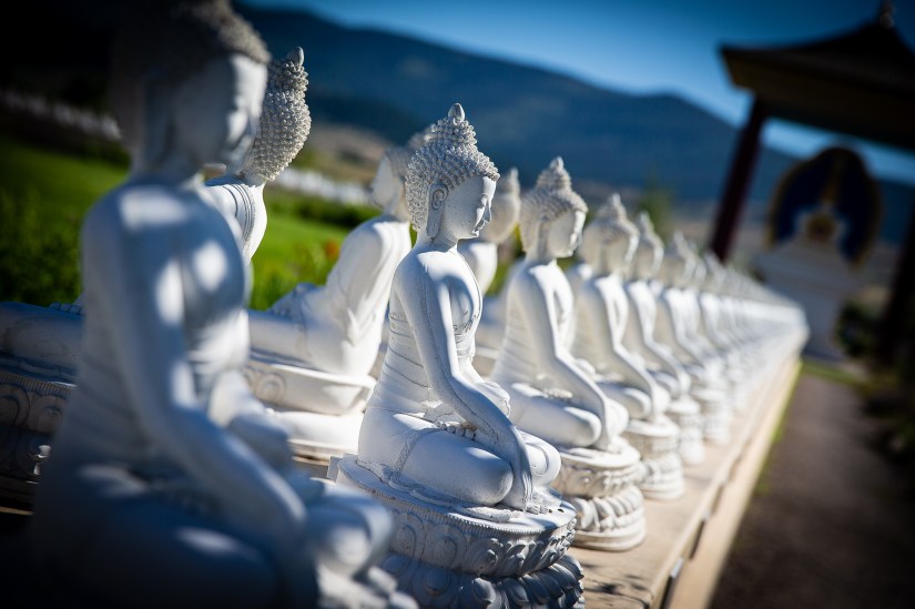 D9B78BCF-BDA9-4885-A109-C96D2C268CD1