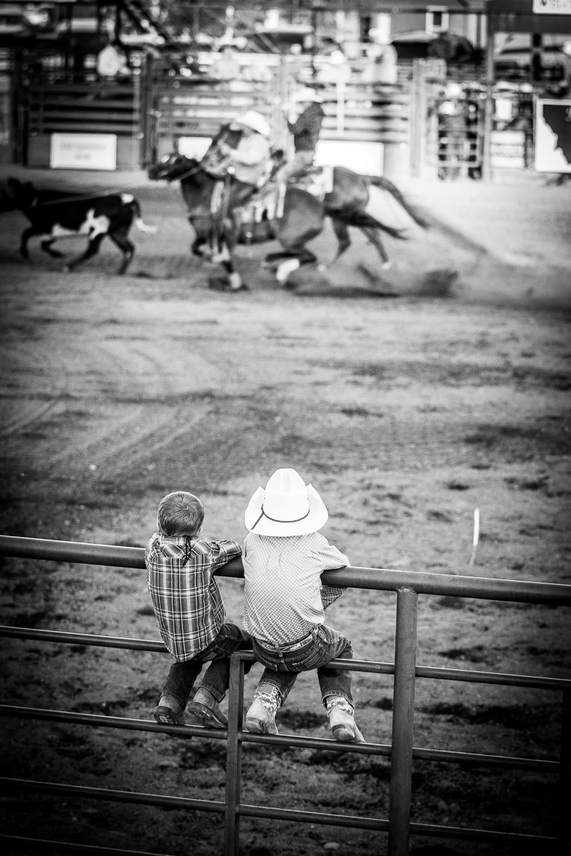 DB7E3056-EB9C-4508-8066-FBB35B2819F3