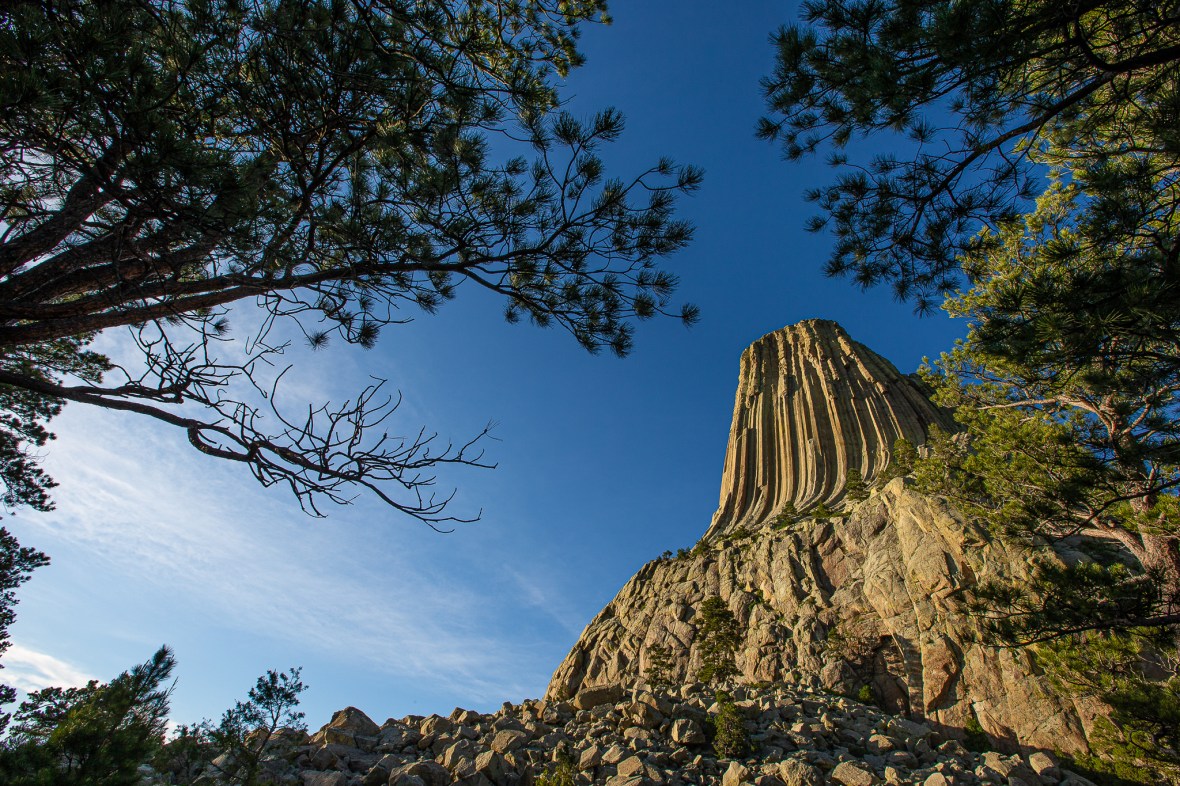 E758AF56-1130-4C61-B5AE-8BB41EB4E0D8