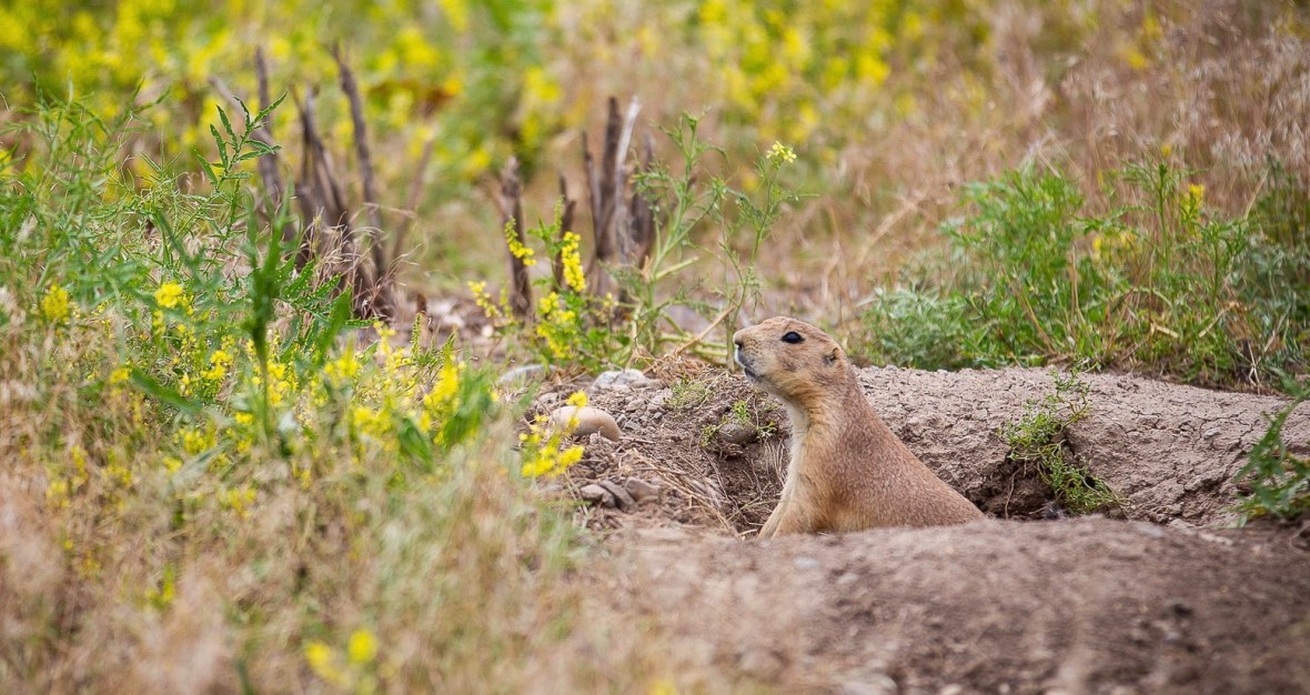 ED27C720-2EFF-4EA5-9969-8FC293BE039E