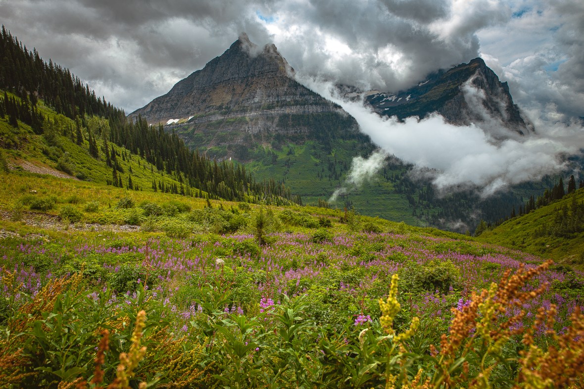 00B97F35-1E13-44E5-8752-CE0EFDBD4C65