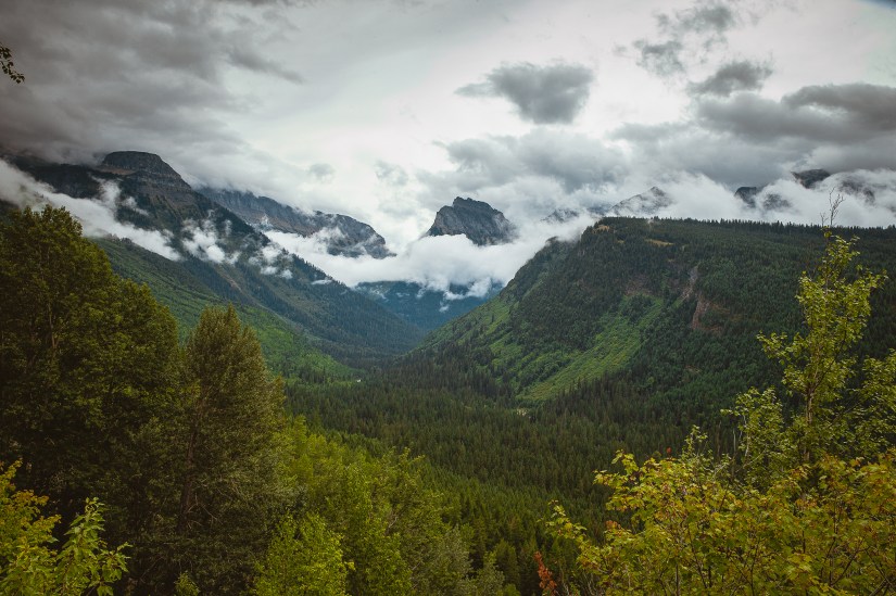 08B0C26A-EA7E-48C3-8589-13D35A8C7C54