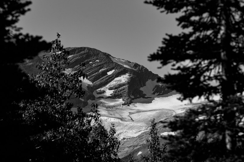 0D5A8A4D-0A30-4C86-B94D-B500E3B82A05