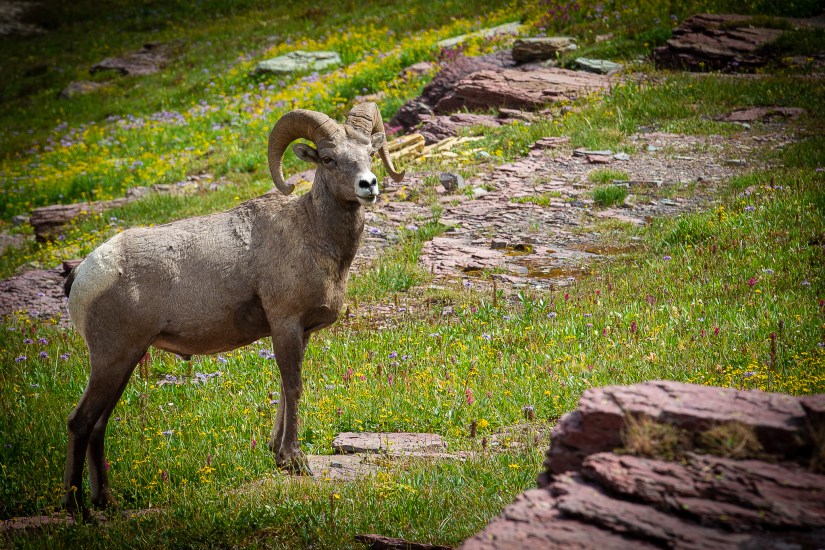 2EFE08BD-BF55-4E91-B5FD-FADC969D0F9F