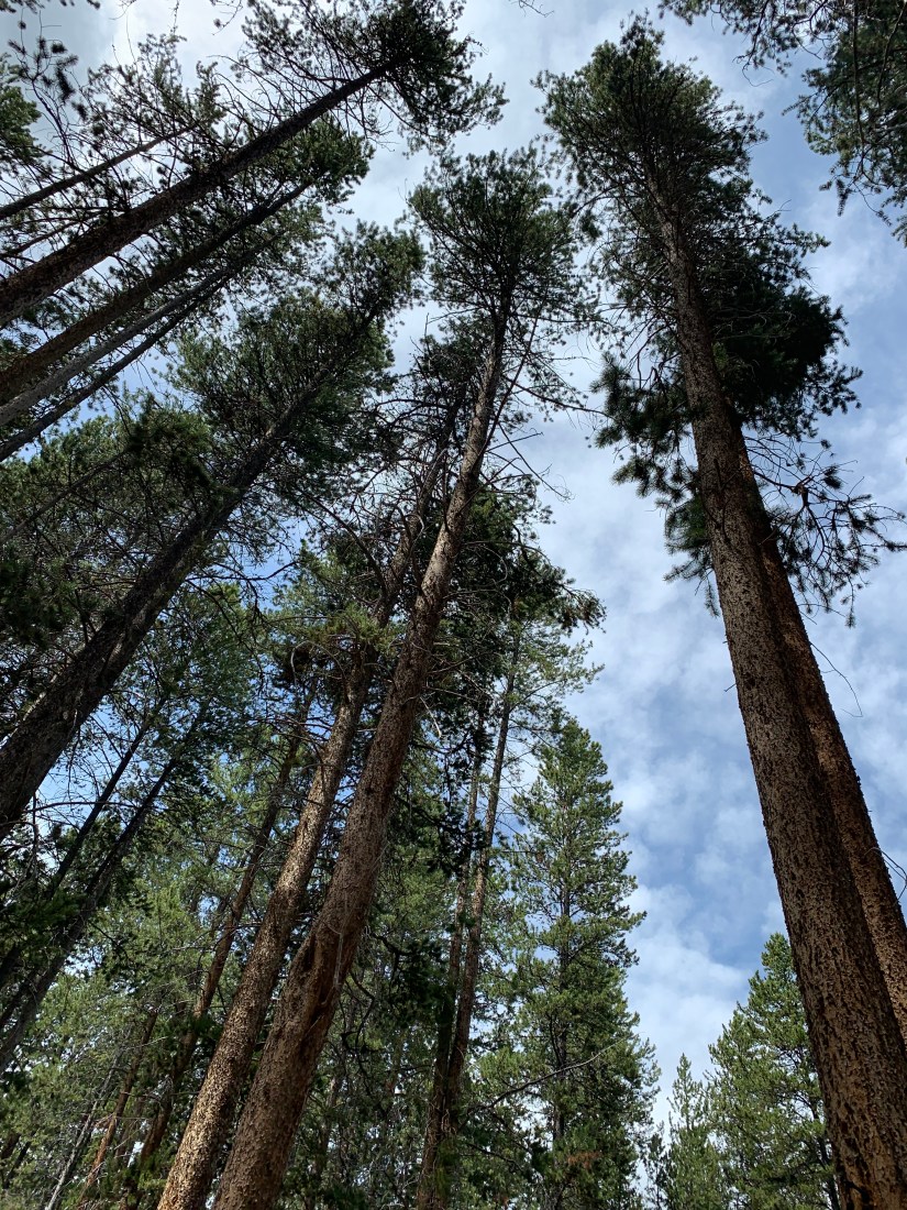 350EF40F-7C34-44B3-AF53-B9832C18962D