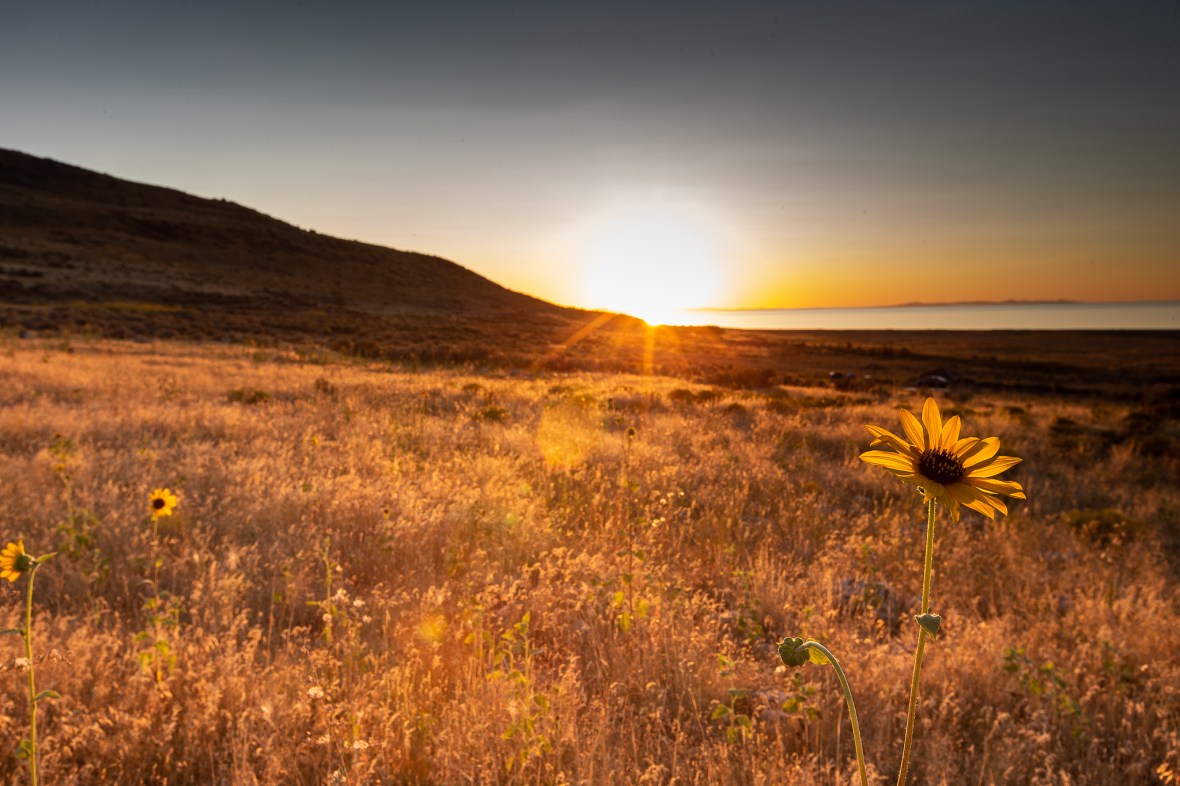 362CE4AB-C93C-4939-AB5C-B89B73FBCDE6