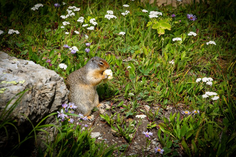 57C9C9DD-F97B-46EA-9D48-DC99FAA19497