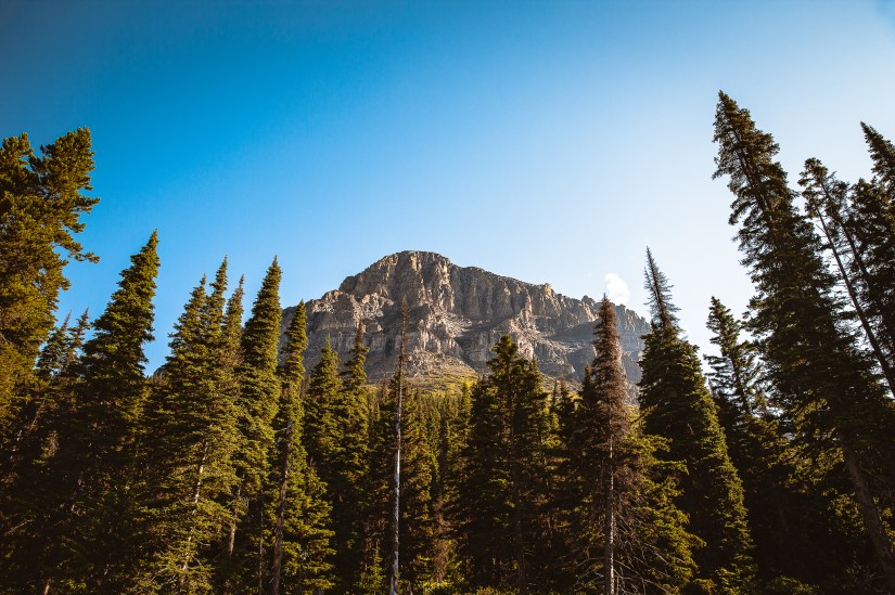 609DBD1C-CAAB-4994-9E52-E6E721008A6A