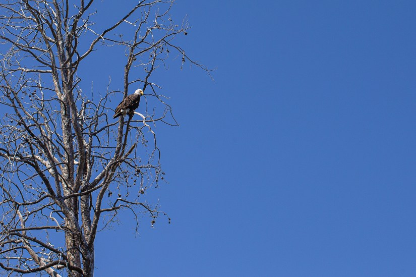 6563B810-2989-4E69-9727-1AB35891A413