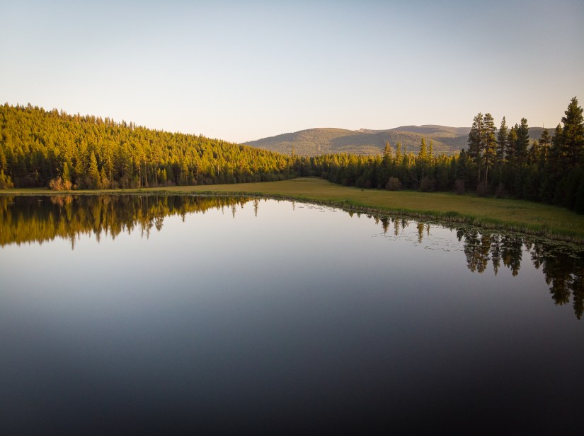 663E93B2-5B3C-4D97-AE1F-9147BE328F42