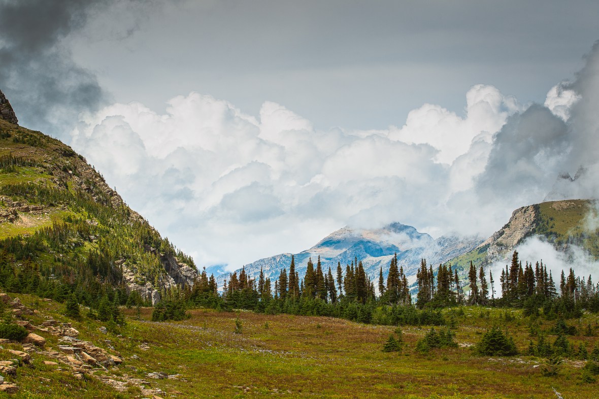 67B02880-F651-4835-B616-6026CD0B503F