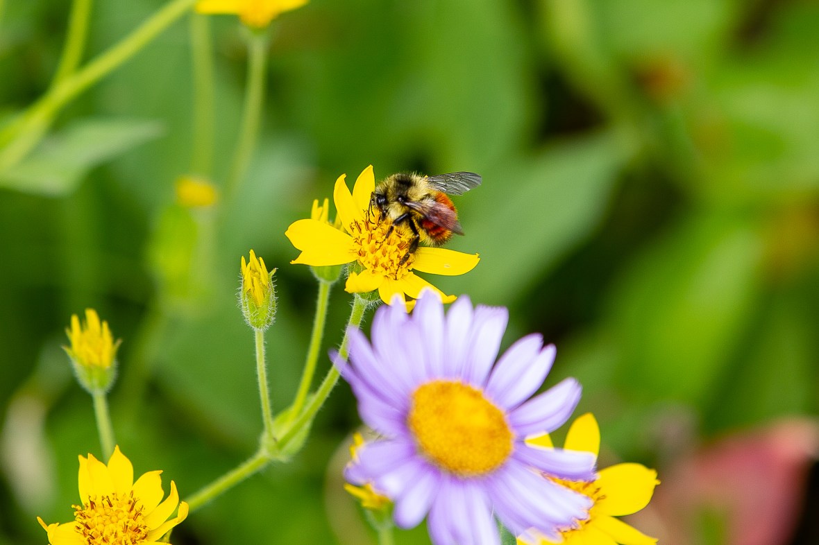 6C45B80F-B384-45A1-9210-0310F64D7A16