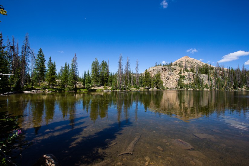 7AA54B38-CF76-4F91-B5CB-BCD86806C63C