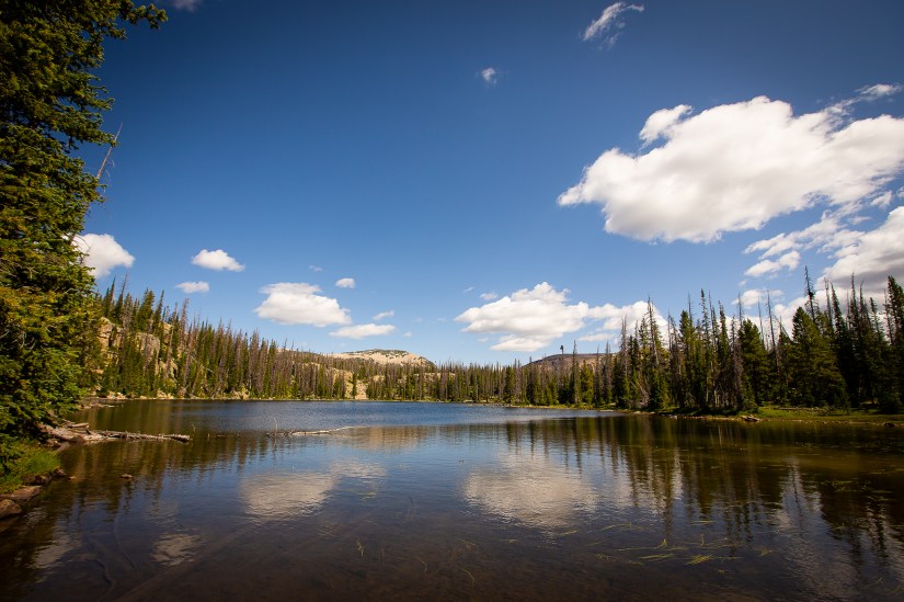 D48CDD63-4563-4826-9CD6-1AAB55DFA8BF