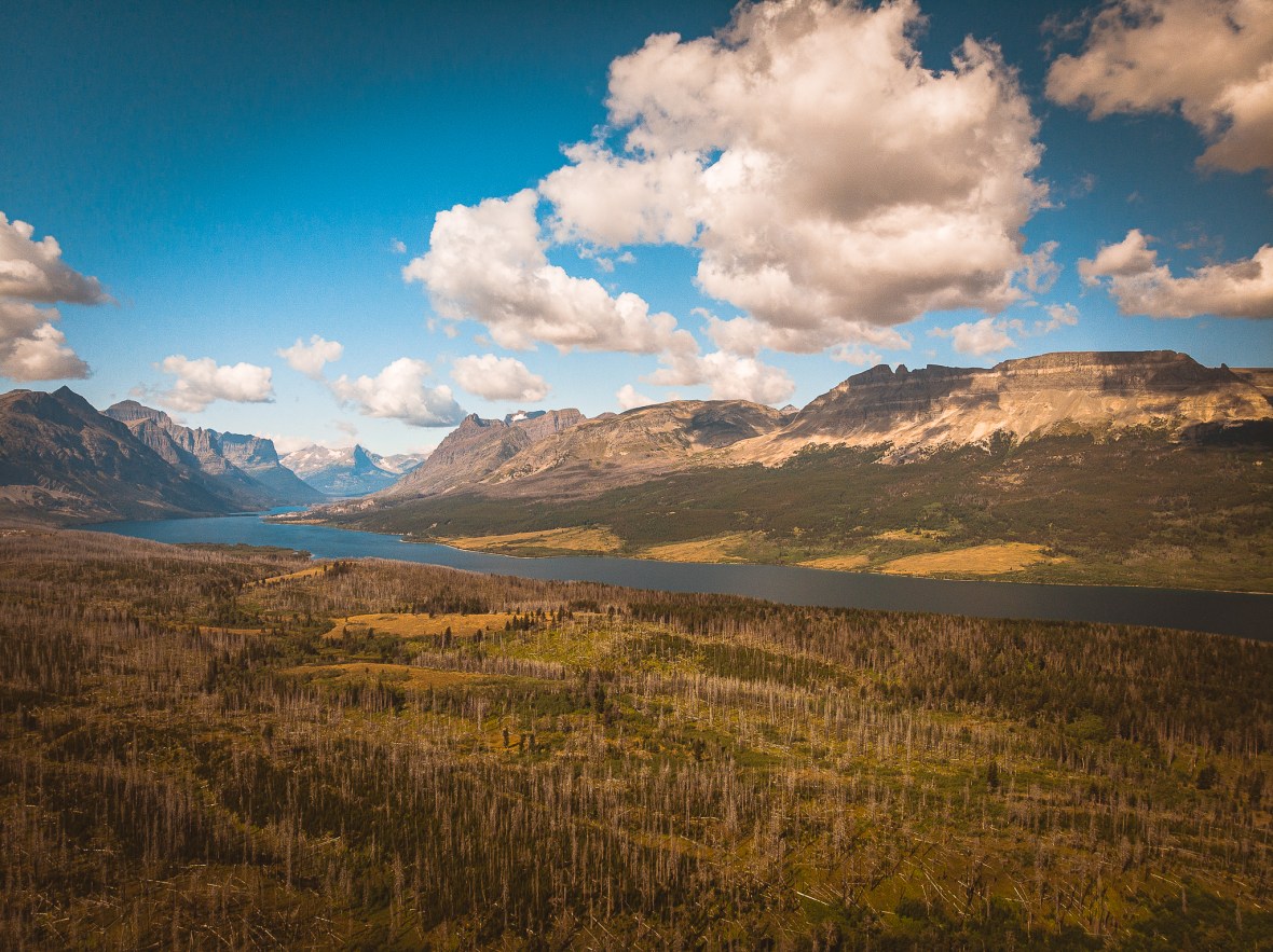 E591E2A8-AA2C-496B-A875-500DE2A5FE69