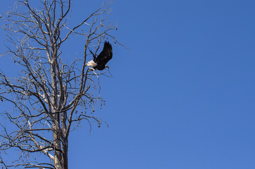 F6278D36-D031-442A-B9FB-39C9C7D6D81E