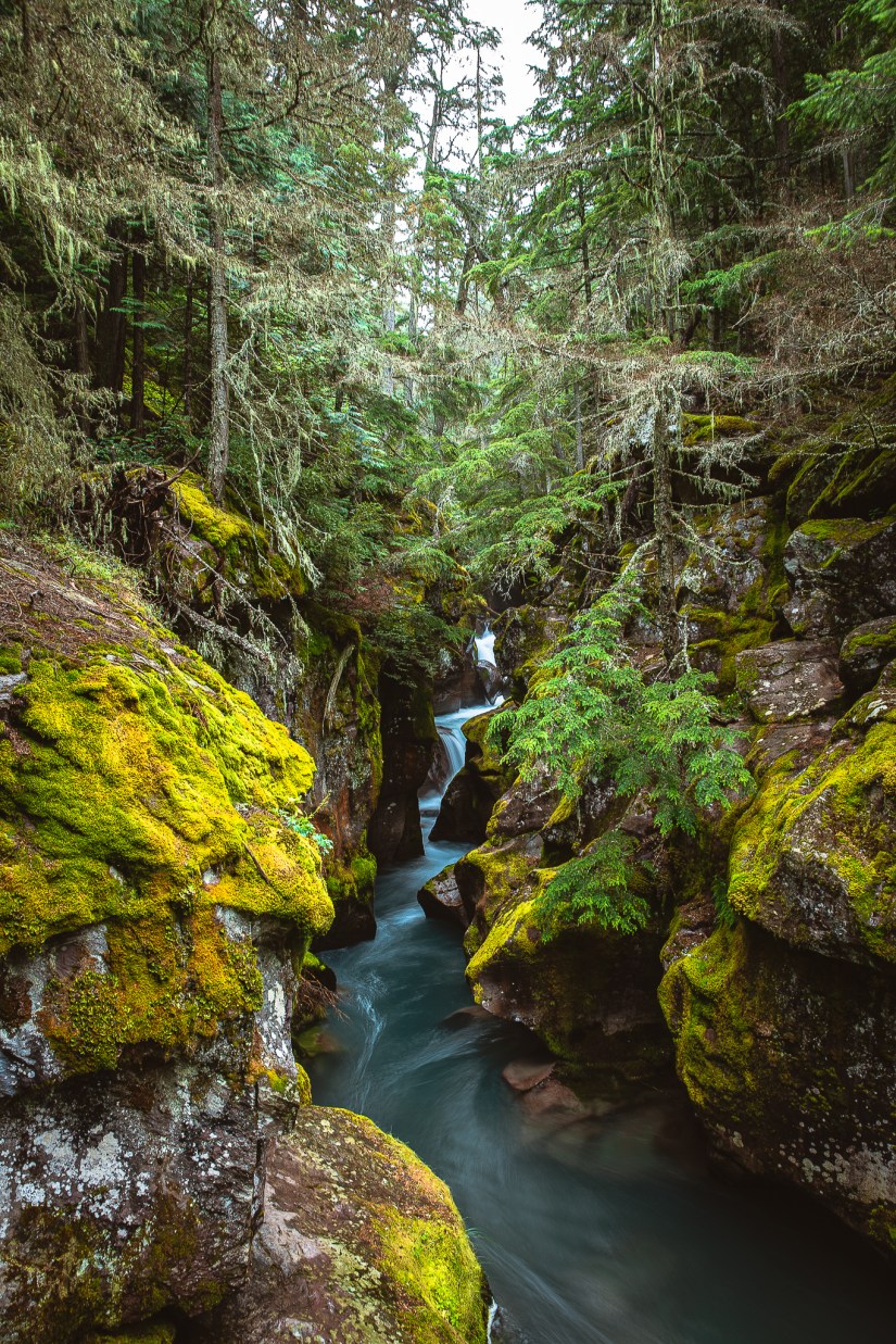 F683EC5F-6760-4955-9375-2A1612A4DF6D