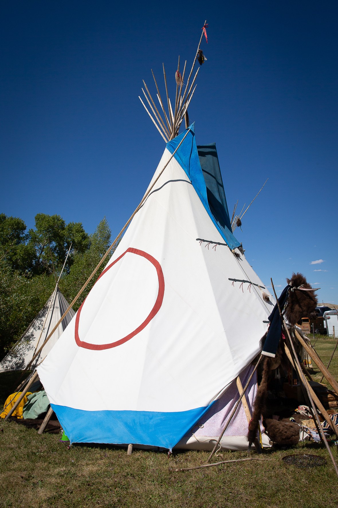 9F9E143B-4F90-498E-A7CF-DA983F11460D